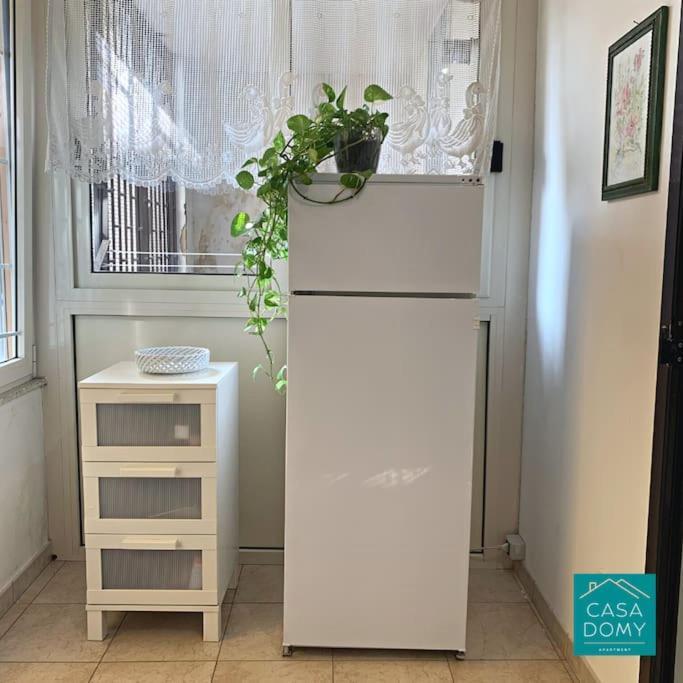Appartement Casa Domy *