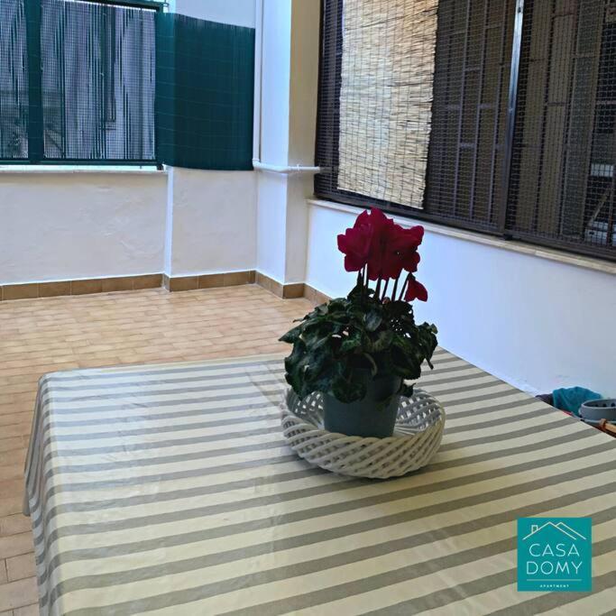 Apartment Casa Domy